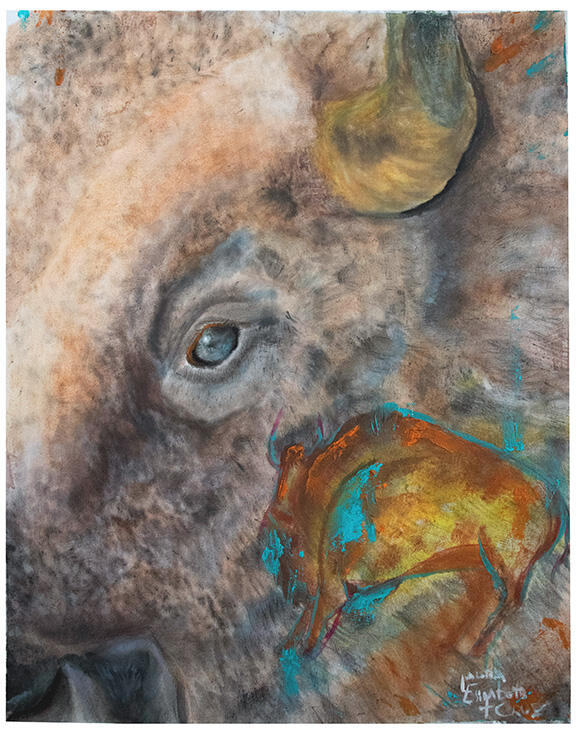 Bison